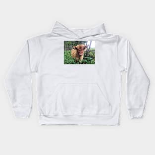 Scottish Highland Cattle Calf 1820 Kids Hoodie